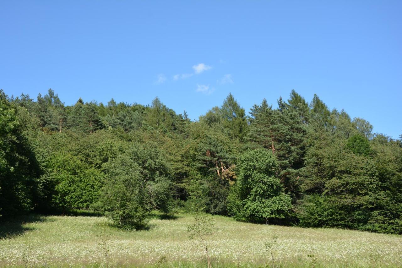 Czarny Dział *